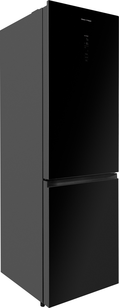 FN 342 IDBG: відокремлений холодильник Gunter & Hauer (покриття дверцят: скло)