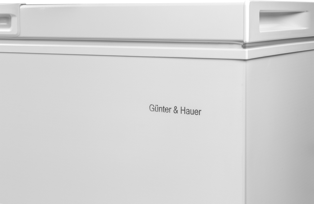 GF 200: морозильна скриня Gunter & Hauer