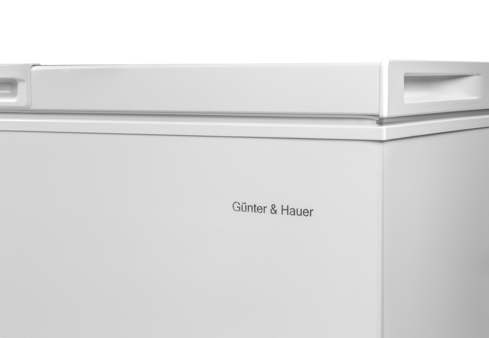 GF 250: морозильна скриня Gunter & Hauer